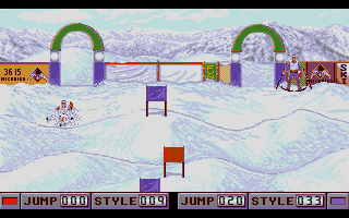 SuperSki II slalom gameplay showing downhill camera view
